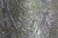 Wildern fibreglass roof work